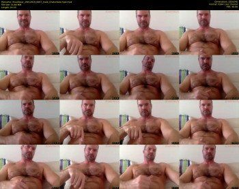 musclbear