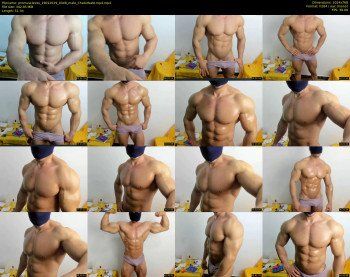 promuscles4u