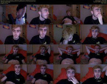sexual_vibrations