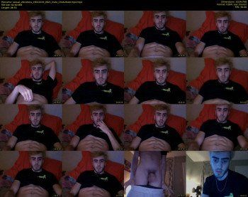 sexual_vibrations