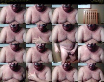 tbear66