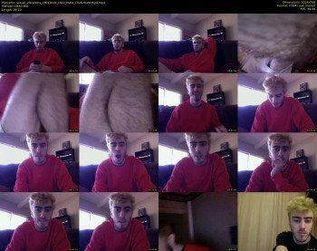 sexual_vibrations