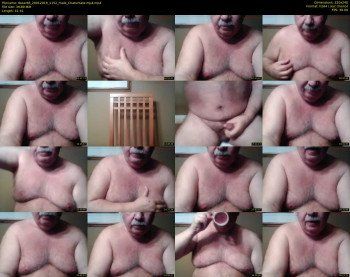 tbear66