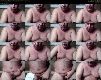 tbear66