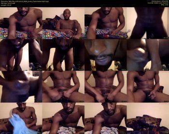 bbc256