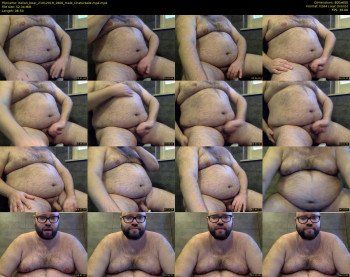italian_bear