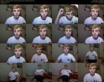 sexual_vibrations