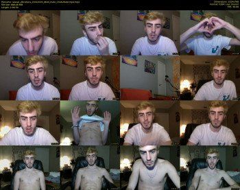 sexual_vibrations
