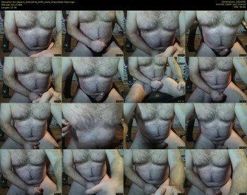 furrybear2
