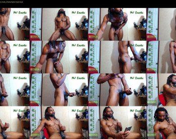 nj_exotic