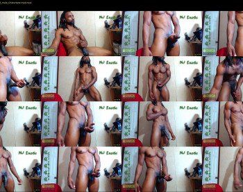 nj_exotic
