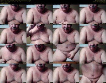 tbear66