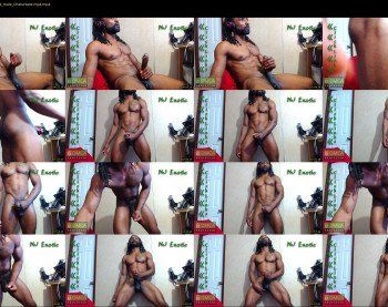 nj_exotic
