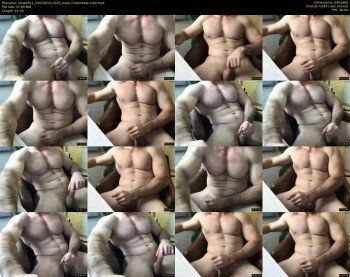stroke511