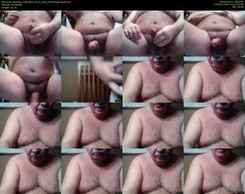 tbear66