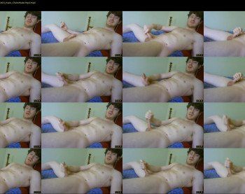 warrenstrips
