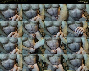 furrybear2