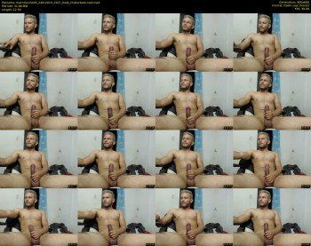 marcolevine95