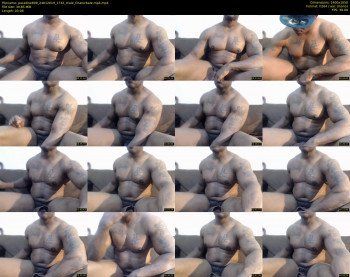 paradise699