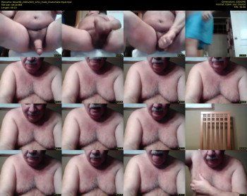 tbear66