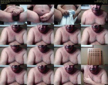 tbear66