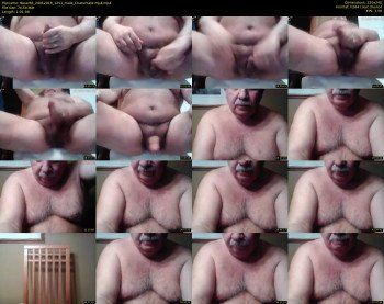 tbear66