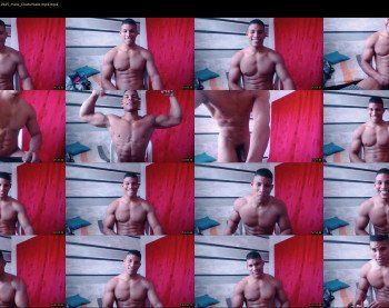 teddyfit19cm