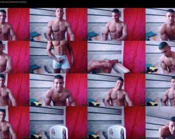 teddyfit19cm