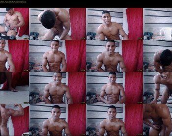 teddyfit19cm