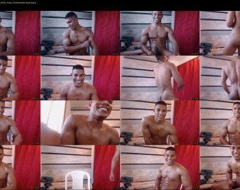 teddyfit19cm