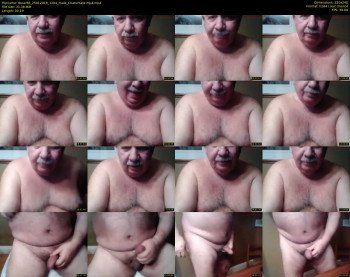 tbear66