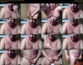 tbear66