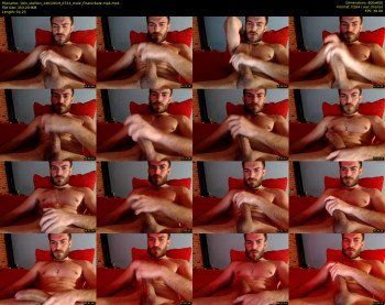10in_stallion