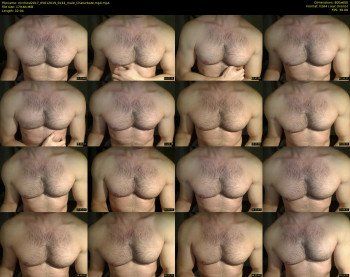 mrchest2017