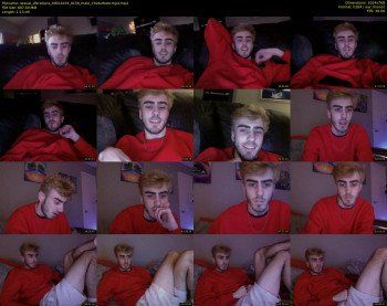 sexual_vibrations