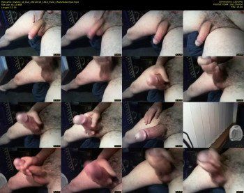 mature_uk_bull
