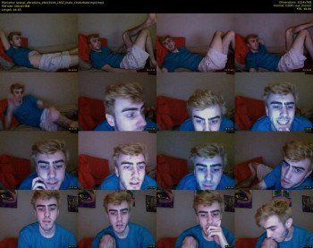 sexual_vibrations