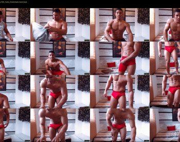 teddyfit19cm