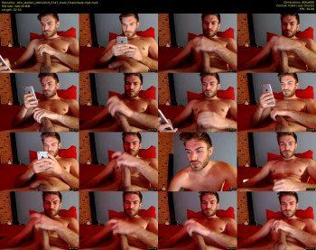 10in_stallion