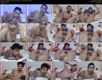 catdaddy281