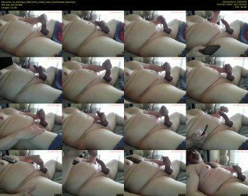tx_domdad