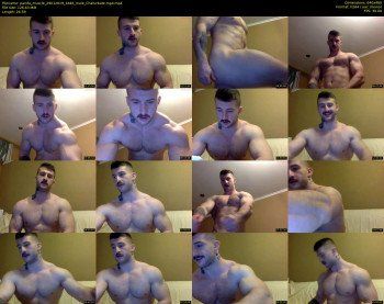 panda_muscle