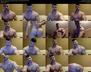 panda_muscle