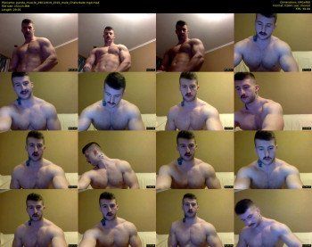 panda_muscle