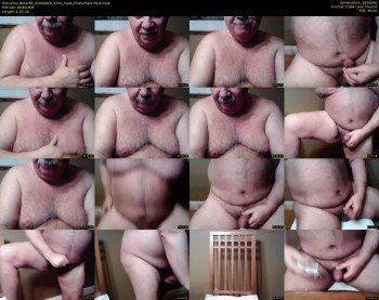 tbear66