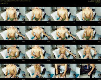 austin_bull