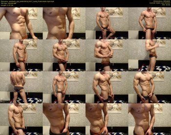 aesthetic_guy