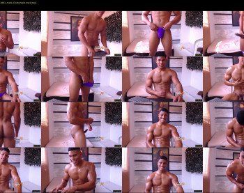 teddyfit19cm