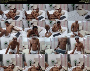 catboy96