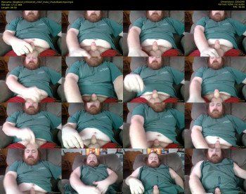 tdog8413
